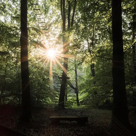 Camp Adventure *